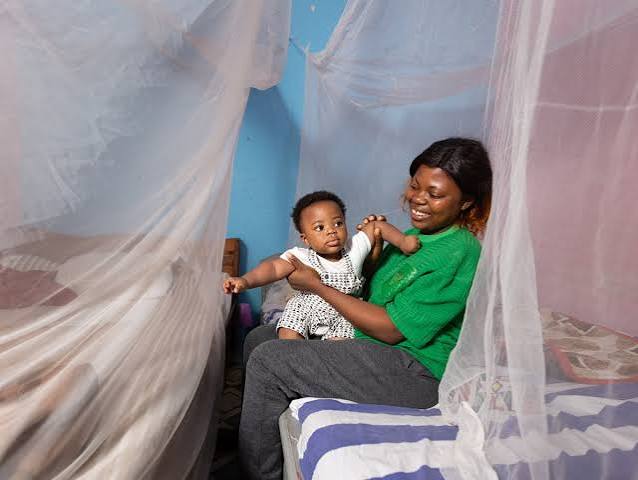 Mosquito Nets
